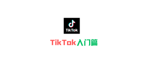 TikTok入门篇